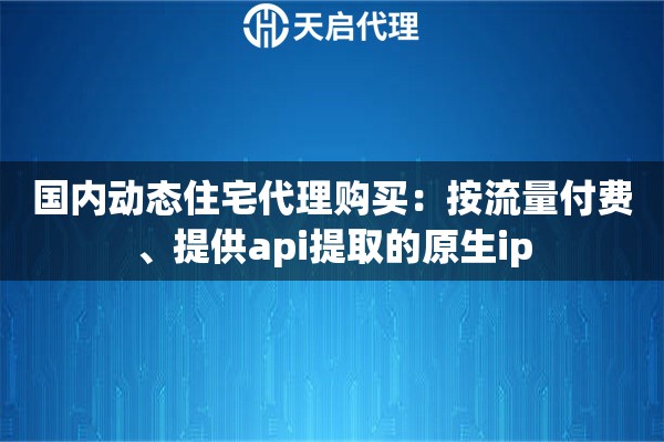 国内动态住宅代理购买：按流量付费、提供api提取的原生ip