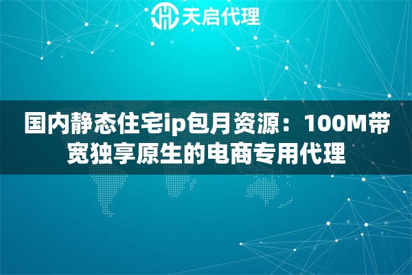 国内静态住宅ip包月资源：100M带宽独享原生的电商专用代理