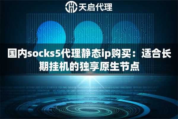 国内socks5代理静态ip购买：适合长期挂机的独享原生节点