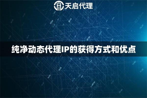 纯净动态代理IP的获得方式和优点