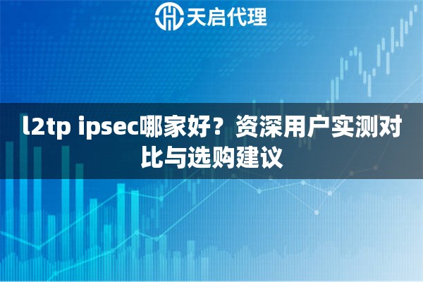 l2tp ipsec哪家好？资深用户实测对比与选购建议