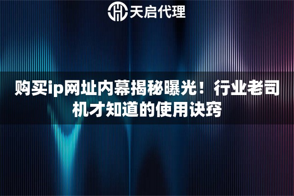 购买ip网址内幕揭秘曝光！行业老司机才知道的使用诀窍