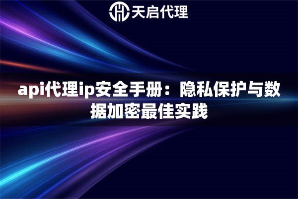 api代理ip安全手册：隐私保护与数据加密最佳实践