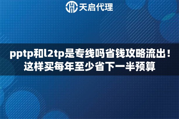 pptp和l2tp是专线吗省钱攻略流出！这样买每年至少省下一半预算