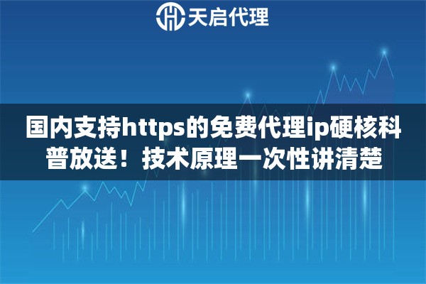国内支持https的免费代理ip硬核科普放送!技术原理一次性讲清楚 国内支持https的免费代理ip硬核科普放送!技术原理一次性讲清楚