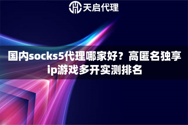 国内socks5代理哪家好？高匿名独享ip游戏多开实测排名