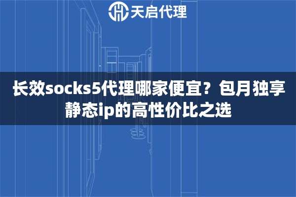 长效socks5代理哪家便宜？包月独享静态ip的高性价比之选