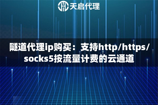 隧道代理ip购买：支持http/https/socks5按流量计费的云通道