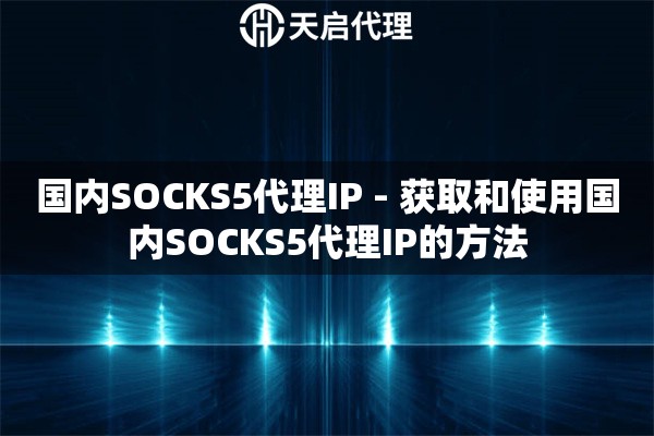 国内SOCKS5代理IP - 获取和使用国内SOCKS5代理IP的方法