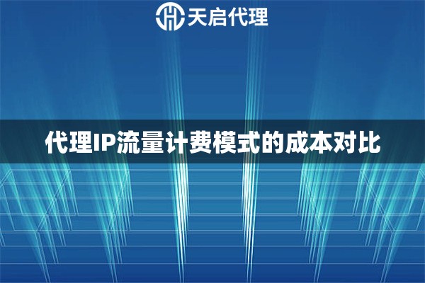 代理IP流量计费模式的成本对比