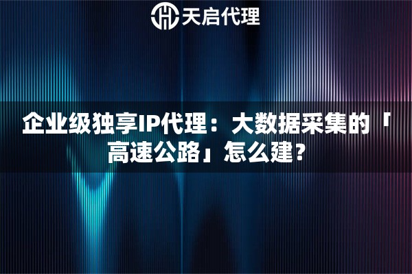 企业级独享IP代理：大数据采集的「高速公路」怎么建？