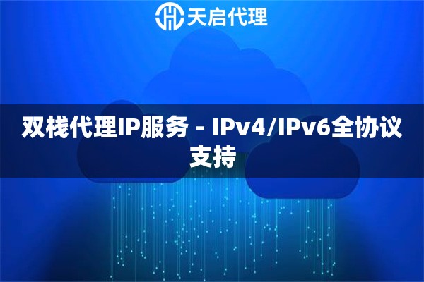 双栈代理IP服务 - IPv4/IPv6全协议支持