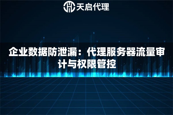 企业数据防泄漏：代理服务器流量审计与权限管控