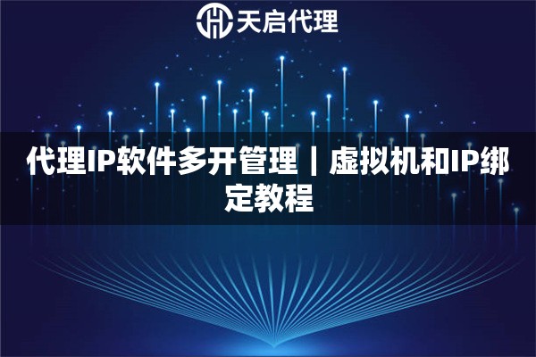 代理IP软件多开管理｜虚拟机和IP绑定教程