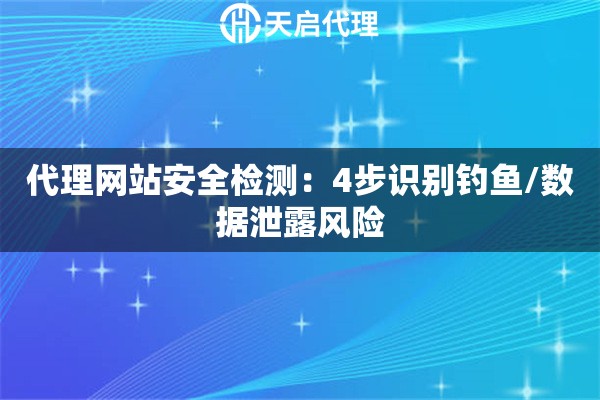 代理网站安全检测：4步识别钓鱼/数据泄露风险