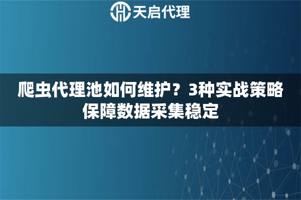 爬虫代理池如何维护？3种实战策略保障数据采集稳定