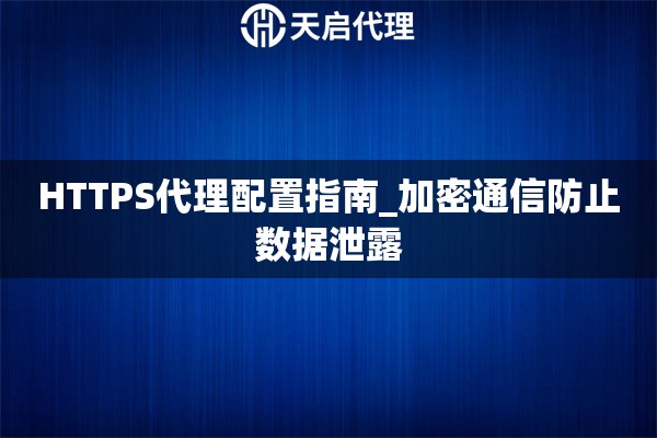 HTTPS代理配置指南_加密通信防止数据泄露