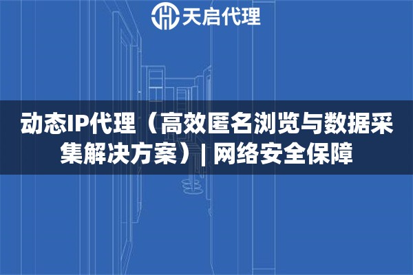 动态IP代理（高效匿名浏览与数据采集解决方案）| 网络安全保障