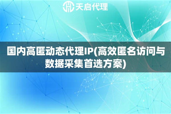国内高匿动态代理IP(高效匿名访问与数据采集首选方案)