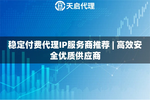 稳定付费代理IP服务商推荐 | 高效安全优质供应商