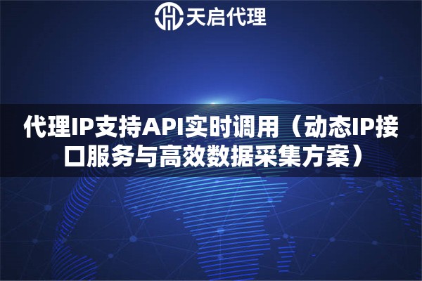 代理IP支持API实时调用（动态IP接口服务与高效数据采集方案）
