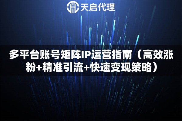多平台账号矩阵IP运营指南（高效涨粉+精准引流+快速变现策略）