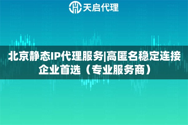 北京静态IP代理服务|高匿名稳定连接企业首选（专业服务商）