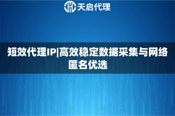 短效代理IP|高效稳定数据采集与网络匿名优选