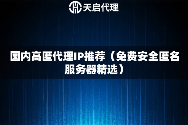 国内高匿代理IP推荐（免费安全匿名服务器精选）