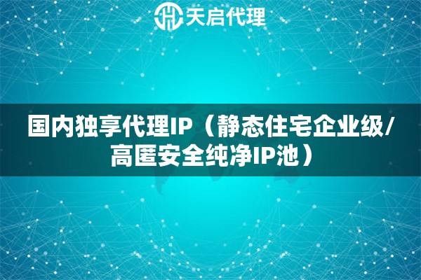 国内独享代理IP（静态住宅企业级/高匿安全纯净IP池）