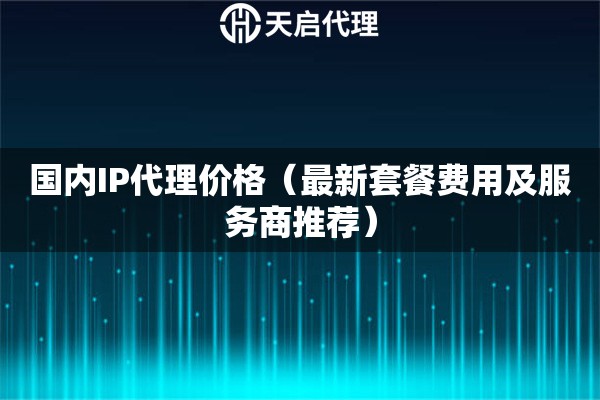 国内IP代理价格（最新套餐费用及服务商推荐）