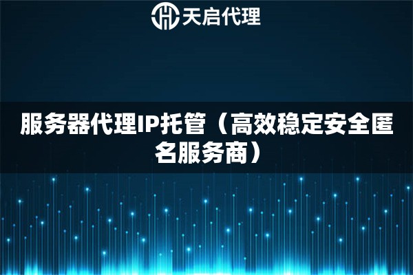 服务器代理IP托管（高效稳定安全匿名服务商）