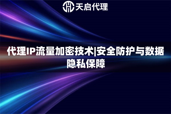 代理IP流量加密技术|安全防护与数据隐私保障