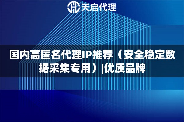 国内高匿名代理IP推荐（安全稳定数据采集专用）|优质品牌