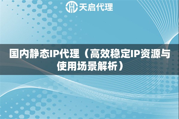 国内静态IP代理（高效稳定IP资源与使用场景解析）