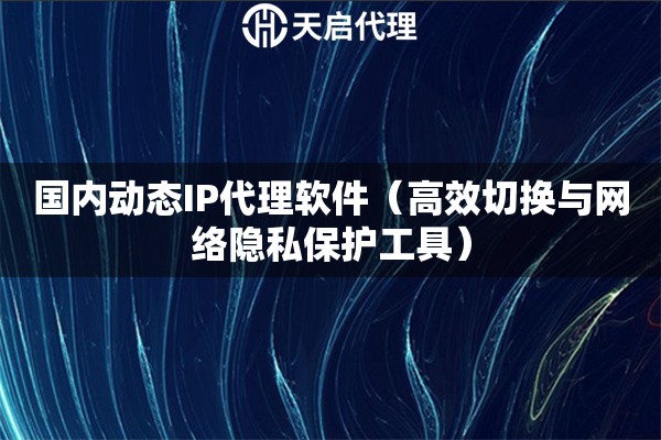 国内动态IP代理软件（高效切换与网络隐私保护工具）