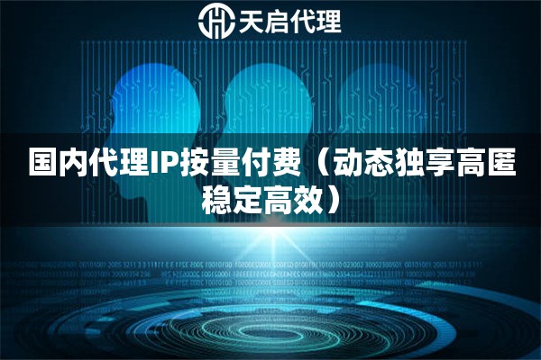 国内代理IP按量付费（动态独享高匿稳定高效）