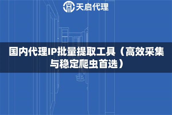 国内代理IP批量提取工具（高效采集与稳定爬虫首选）