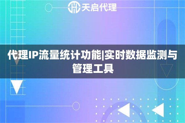 代理IP流量统计功能|实时数据监测与管理工具