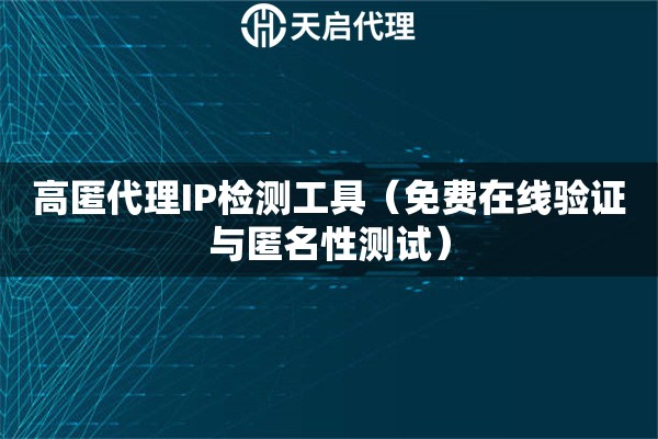 高匿代理IP检测工具（免费在线验证与匿名性测试）