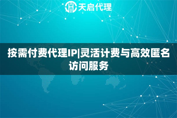 按需付费代理IP|灵活计费与高效匿名访问服务