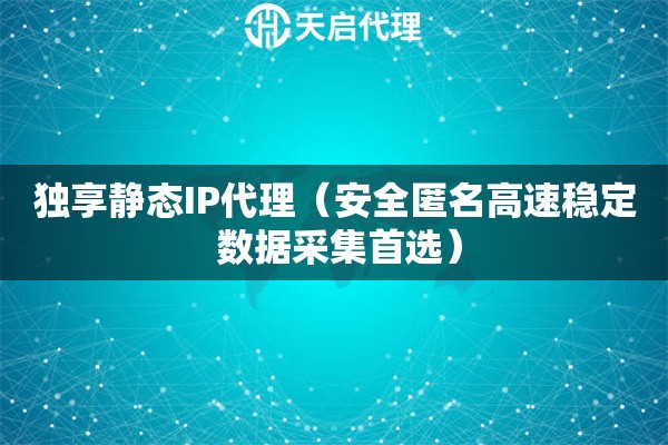 独享静态IP代理（安全匿名高速稳定 数据采集首选）