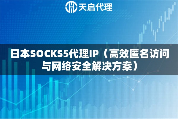 日本SOCKS5代理IP（高效匿名访问与网络安全解决方案）