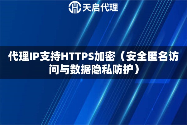 代理IP支持HTTPS加密（安全匿名访问与数据隐私防护）