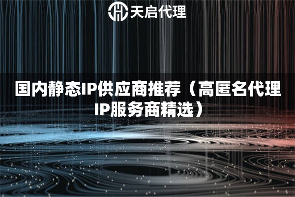 国内静态IP供应商推荐（高匿名代理IP服务商精选）