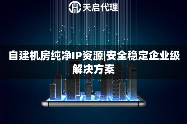 自建机房纯净IP资源|安全稳定企业级解决方案