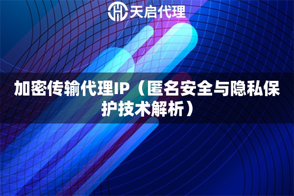 加密传输代理IP（匿名安全与隐私保护技术解析）