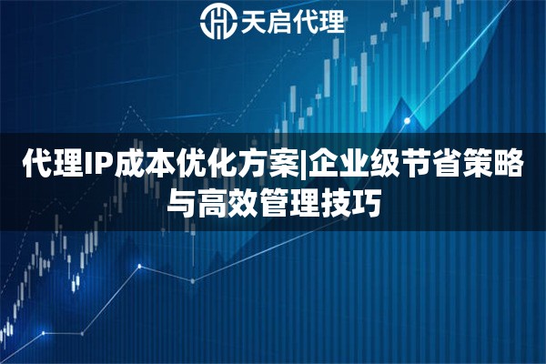 代理IP成本优化方案|企业级节省策略与高效管理技巧