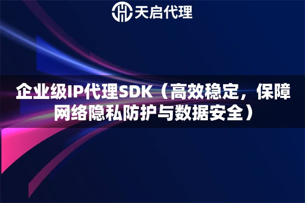 企业级IP代理SDK（高效稳定，保障网络隐私防护与数据安全）