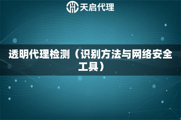 透明代理检测（识别方法与网络安全工具）